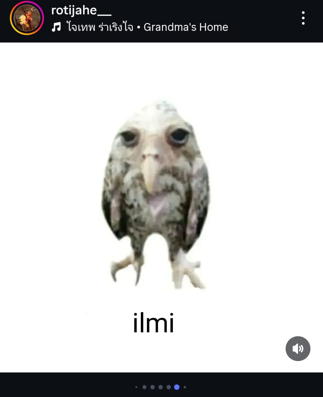 Profile picture for user khznlilmi