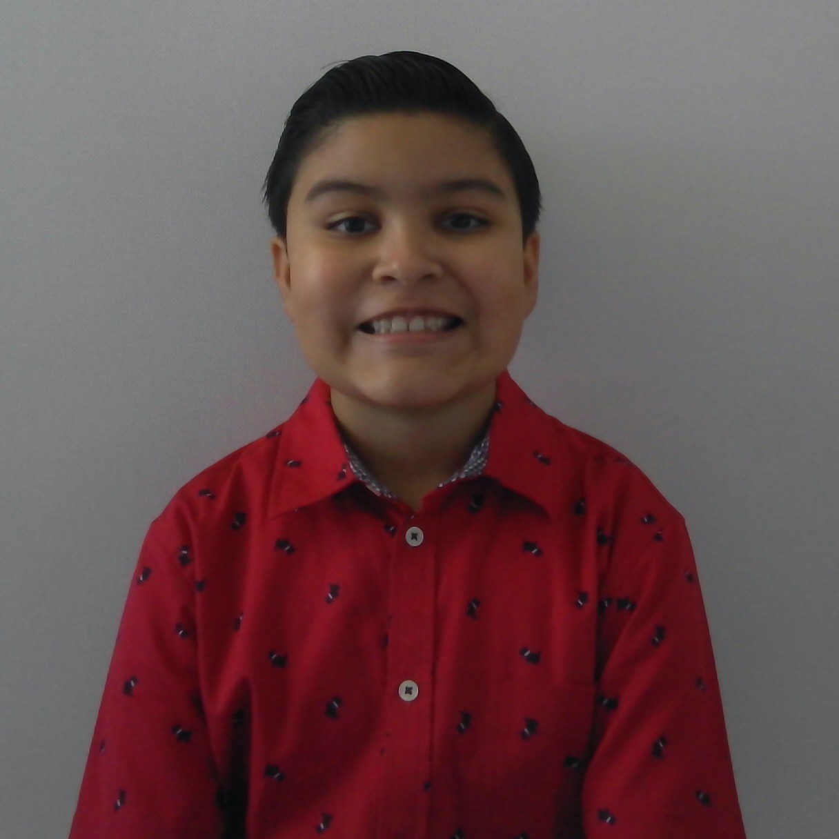 Profile picture for user luicuerui14