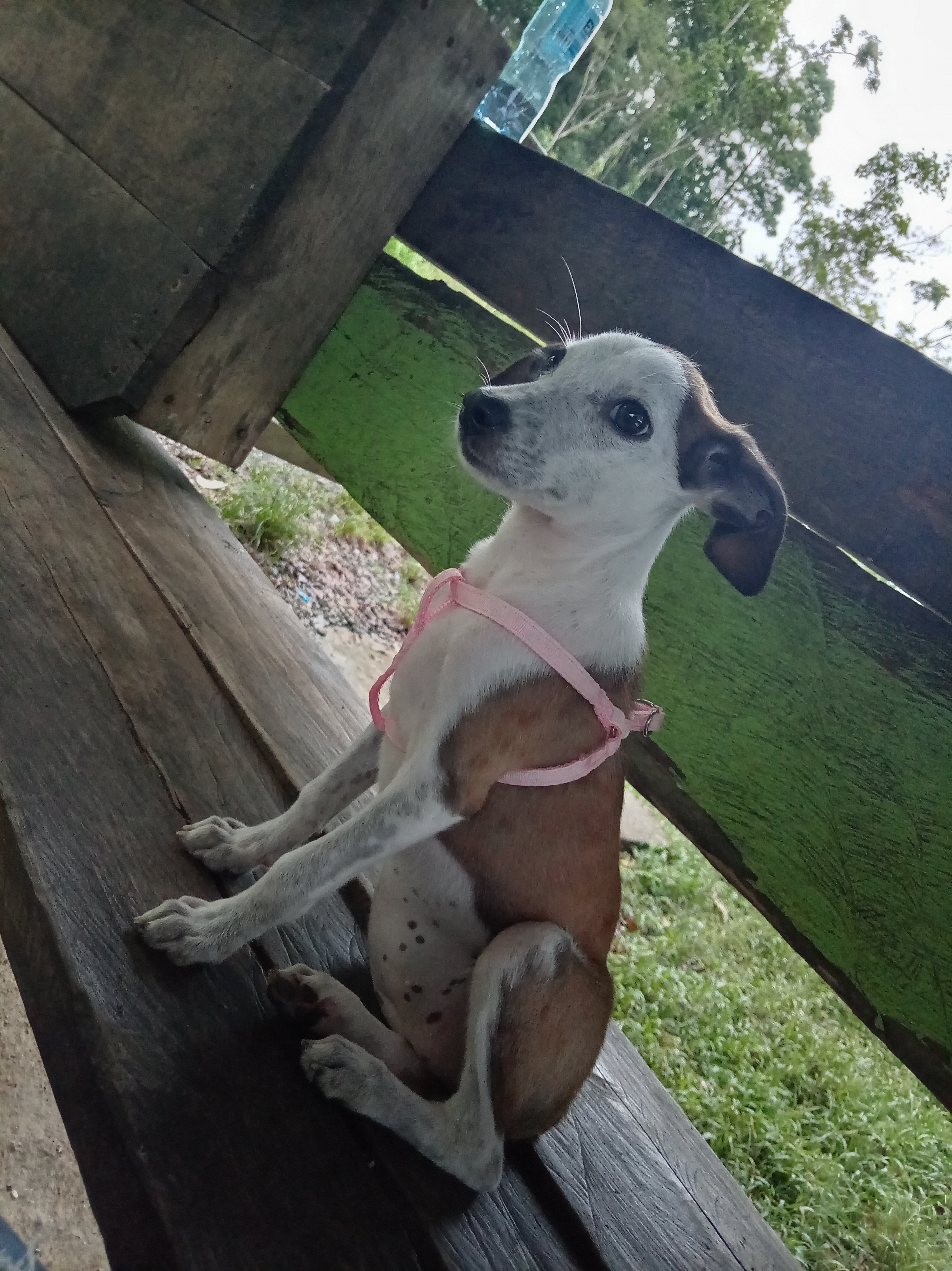 Profile picture for user MariaSmith2005