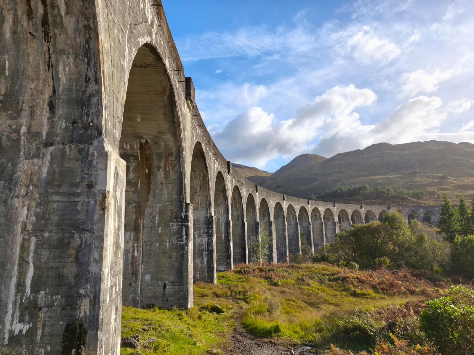 Profile picture for user mlpach