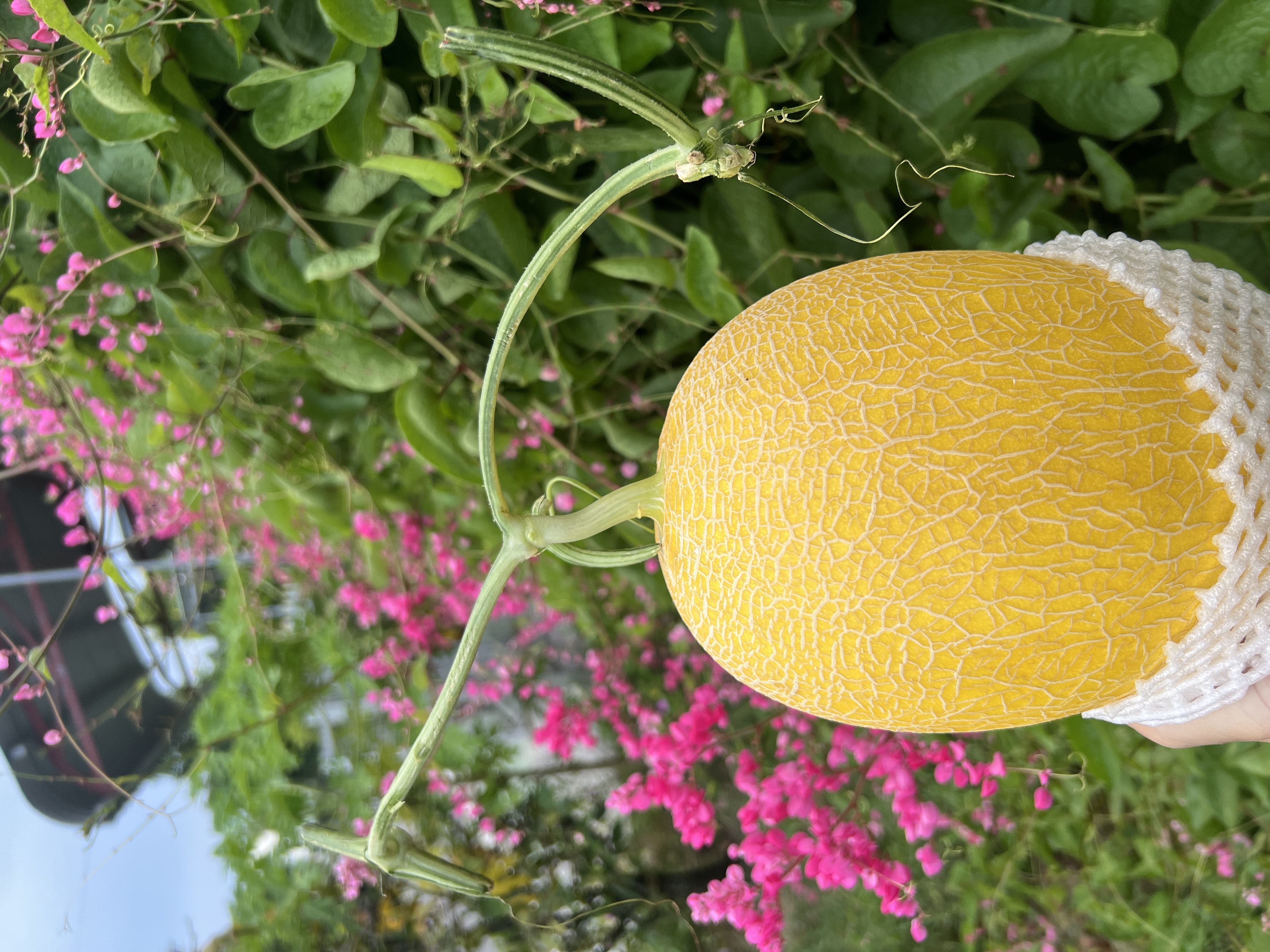 Profile picture for user mymy08