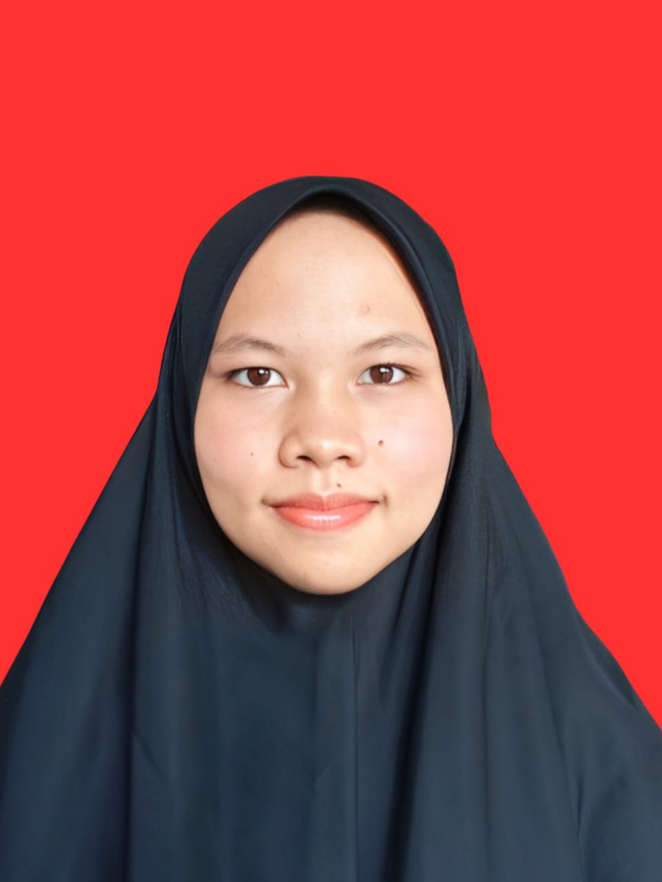 Profile picture for user R1zk4