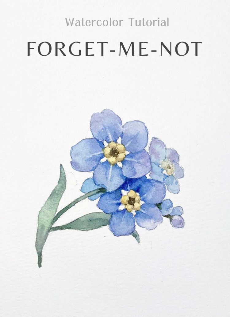 Profile picture for user AnaEne