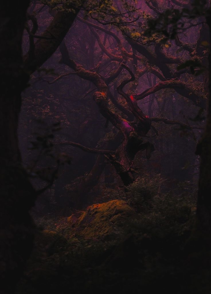 Profile picture for user Veronica50588