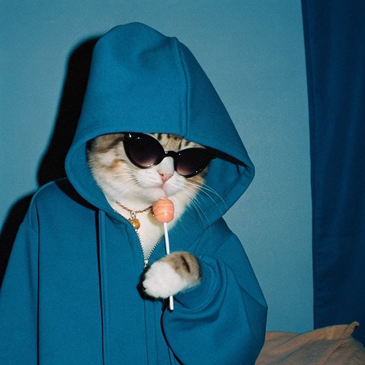 Profile picture for user Rafael200317