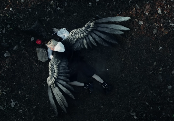 Profile picture for user Teacher_Shazmin