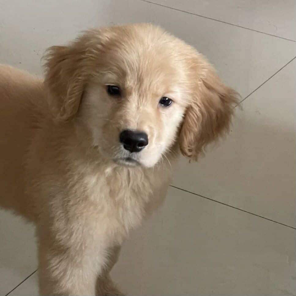 Profile picture for user waruntron