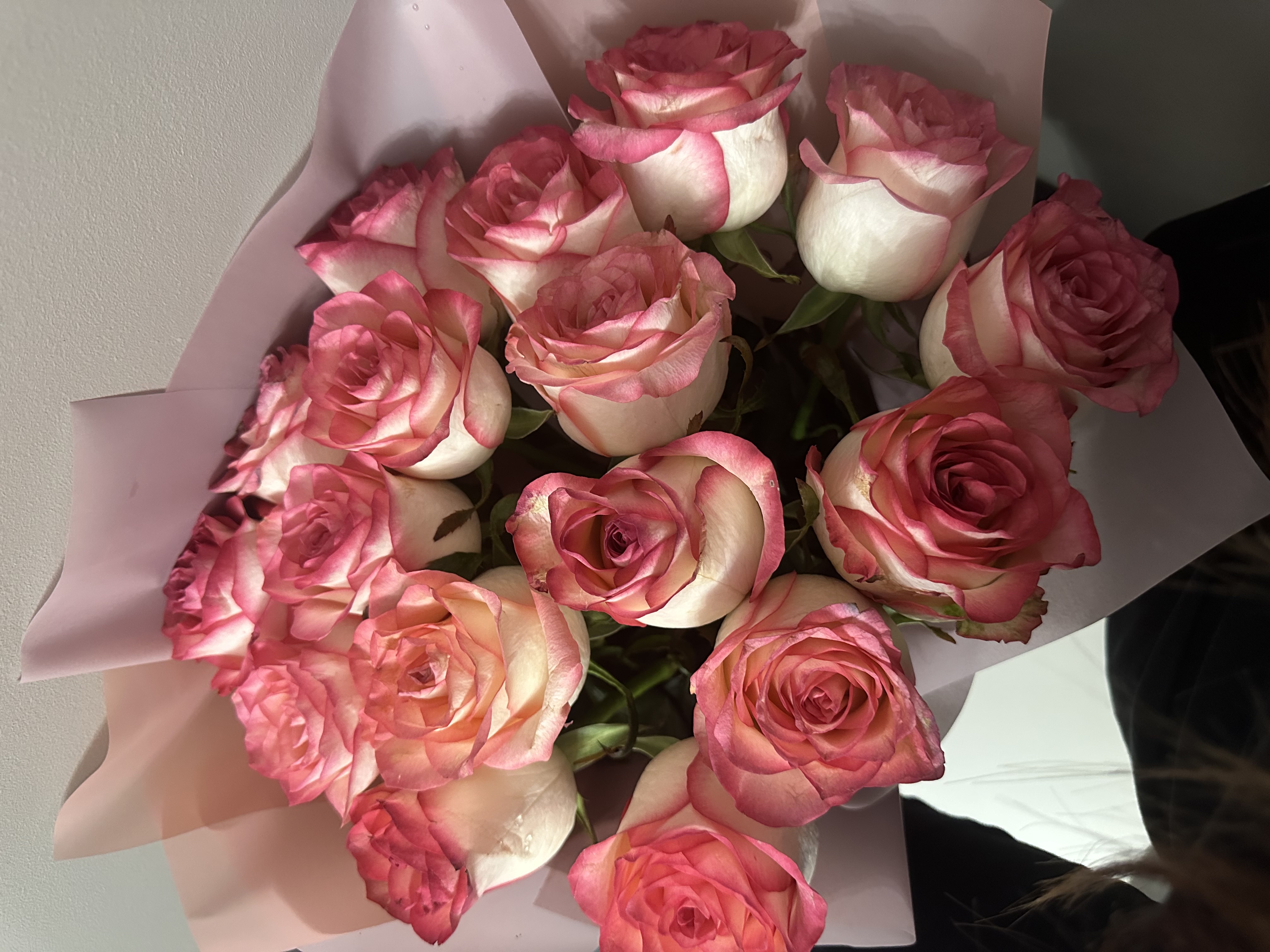 Profile picture for user Valeriiano_