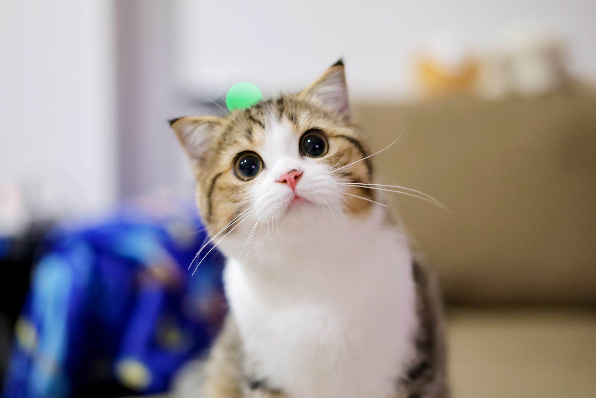 Profile picture for user Stella_pl