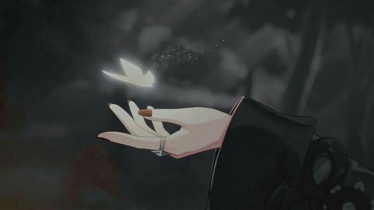 Profile picture for user saashabila