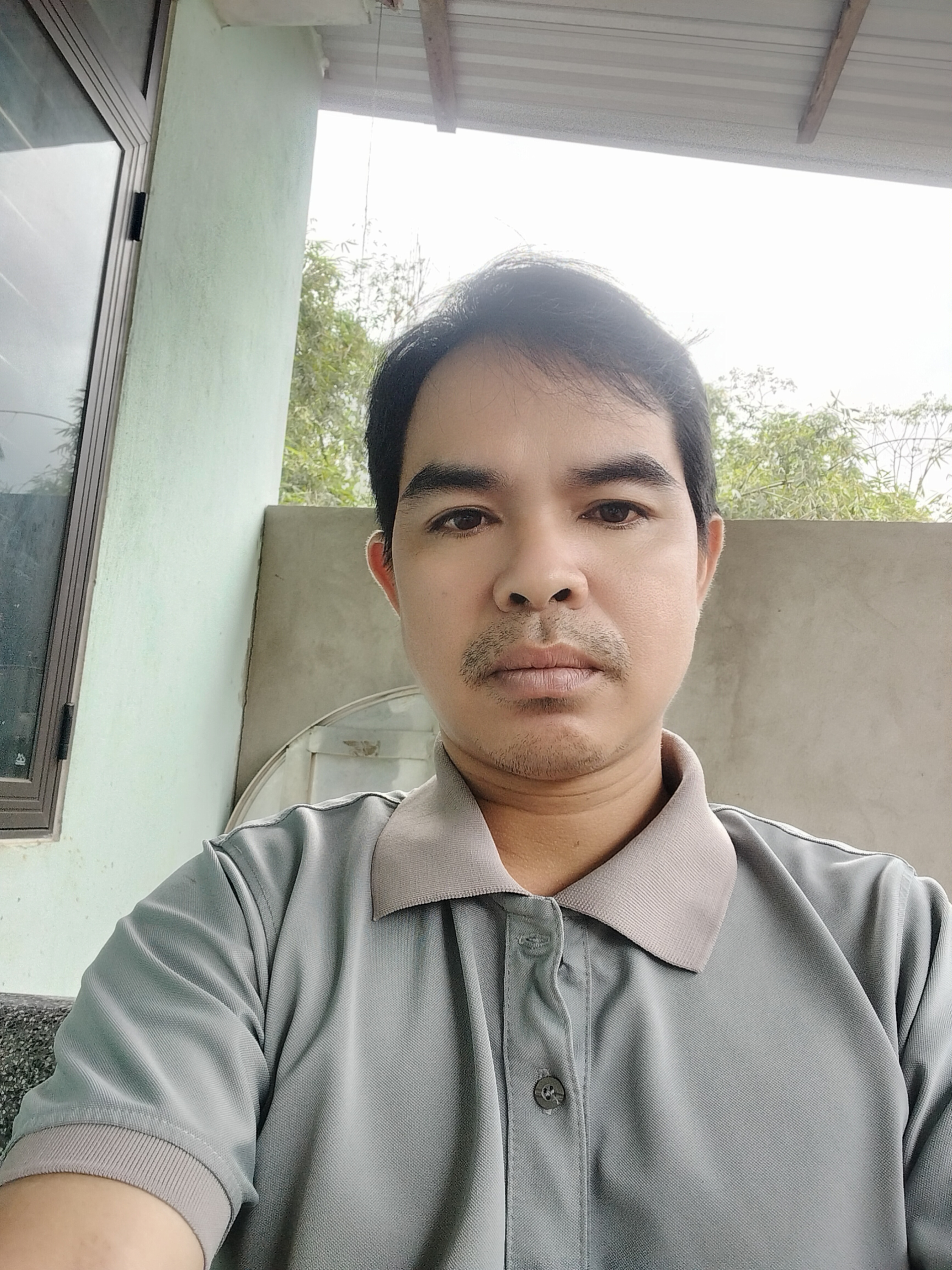 Profile picture for user PVanViet19