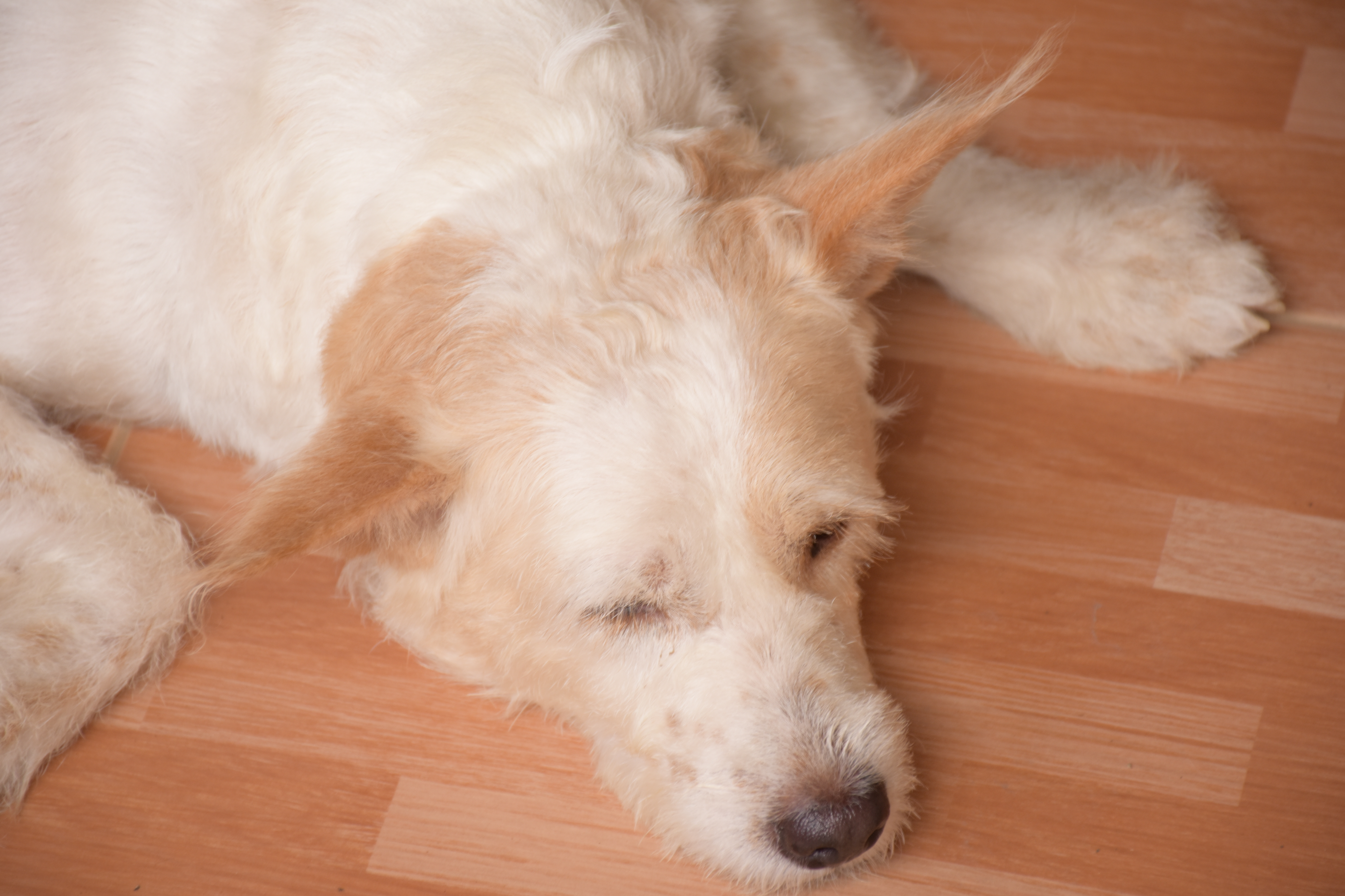 Profile picture for user nont1