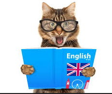 Profile picture for user beatricemeyer