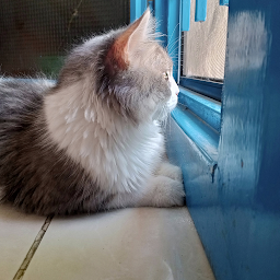 Profile picture for user zainabkojok