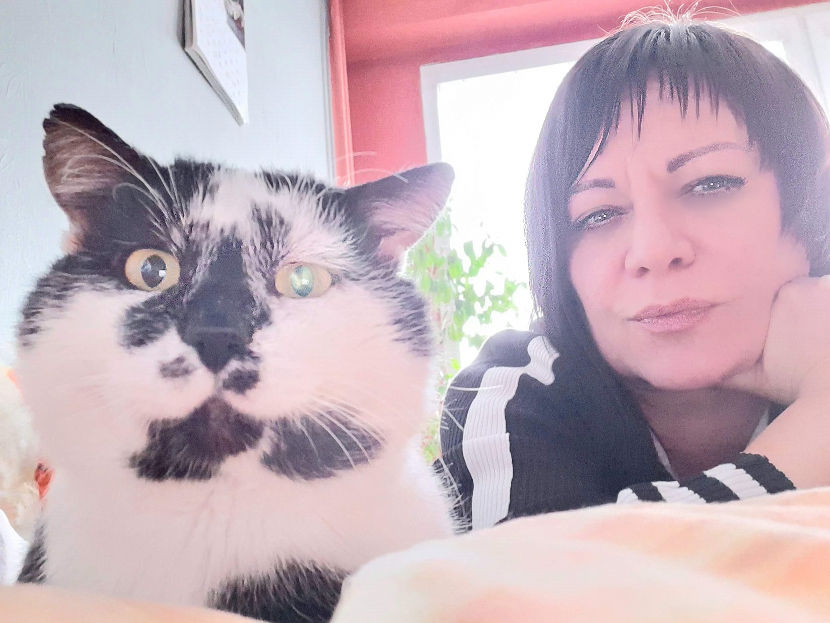 Profile picture for user 5861