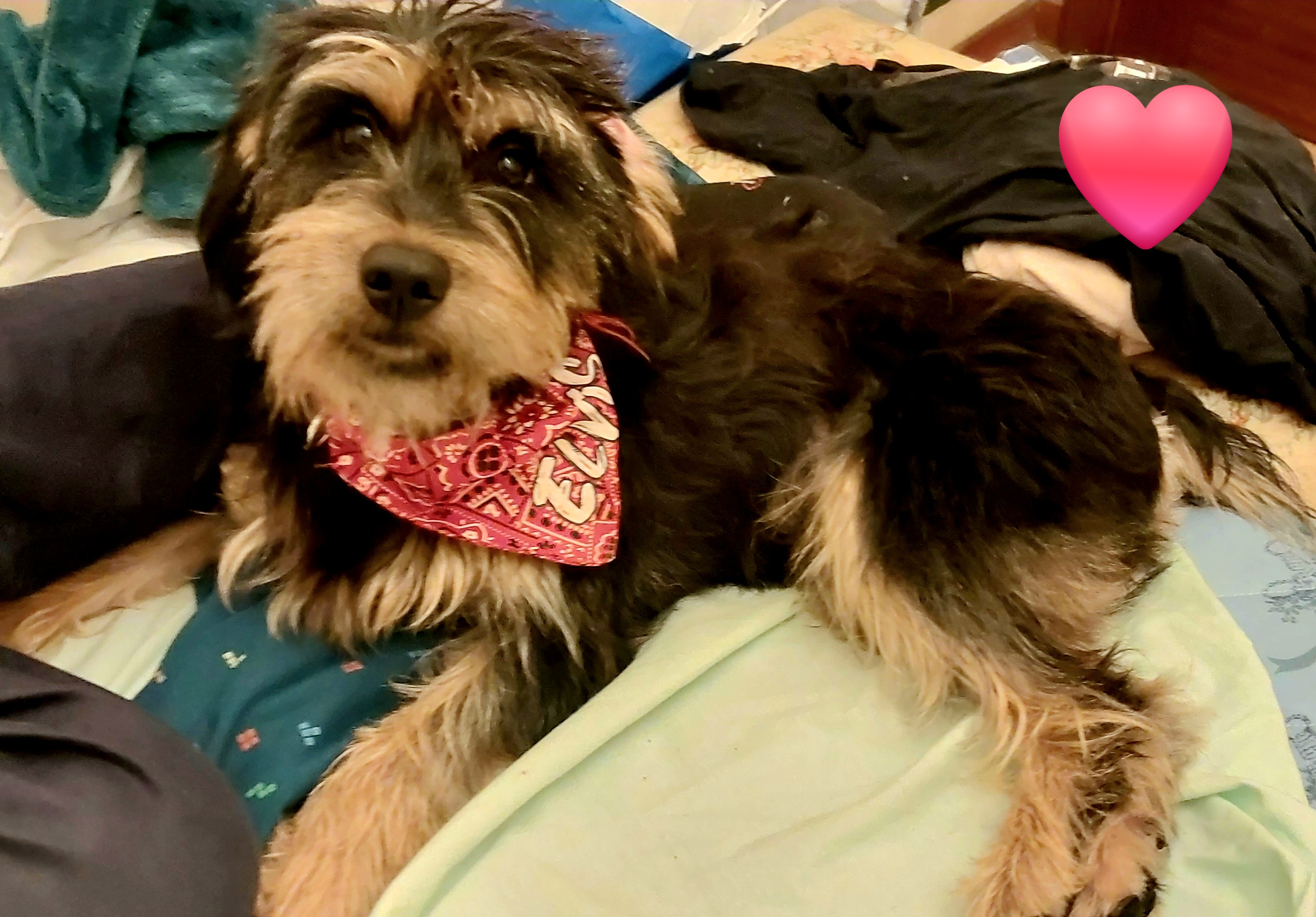 Profile picture for user Beatrizweb