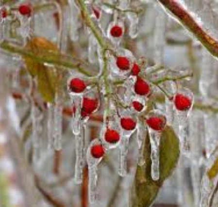 Profile picture for user NMKorm