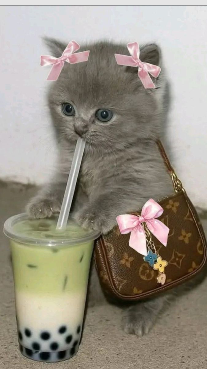 Profile picture for user TCHR_ELLA