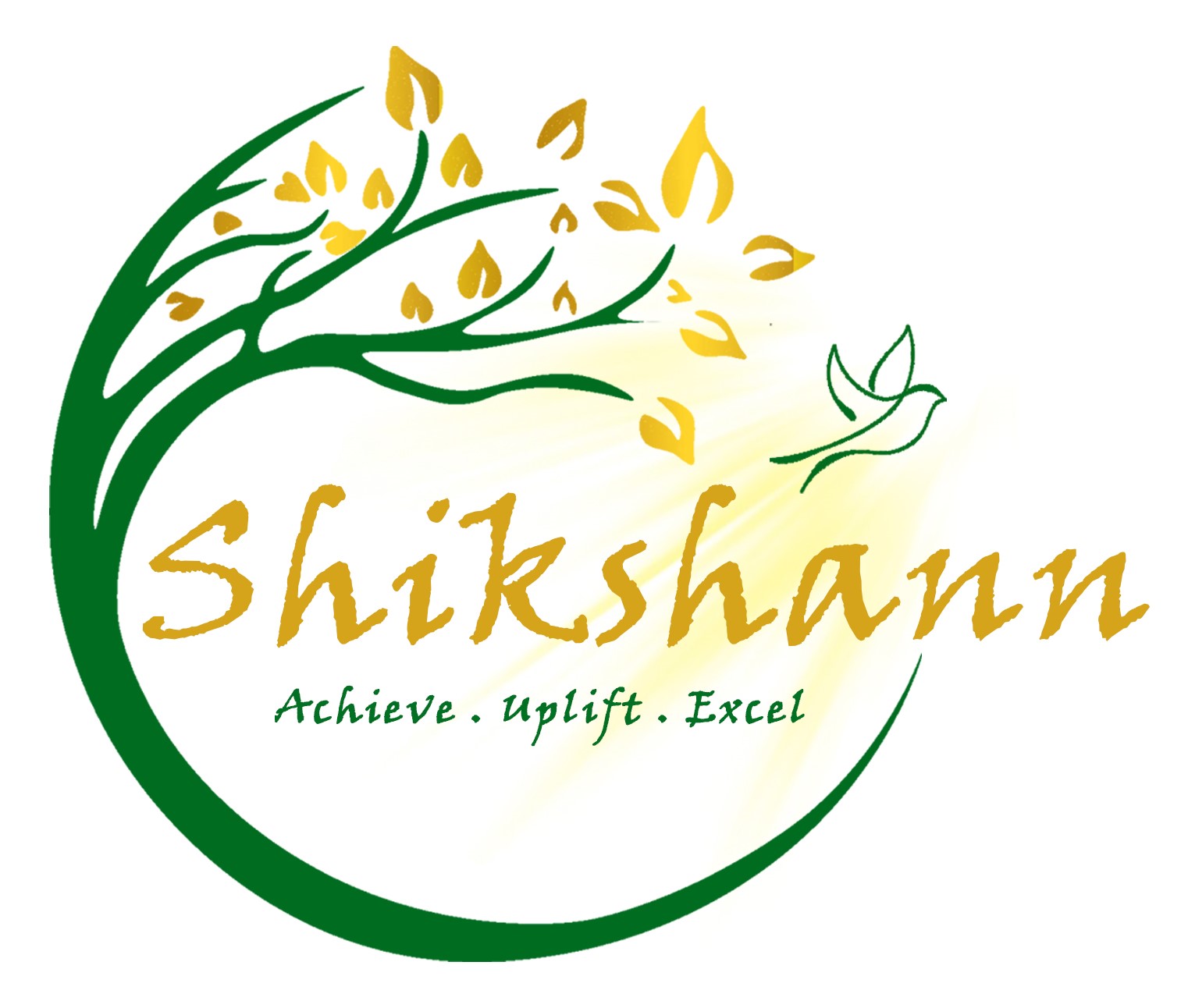 Profile picture for user Shikshann