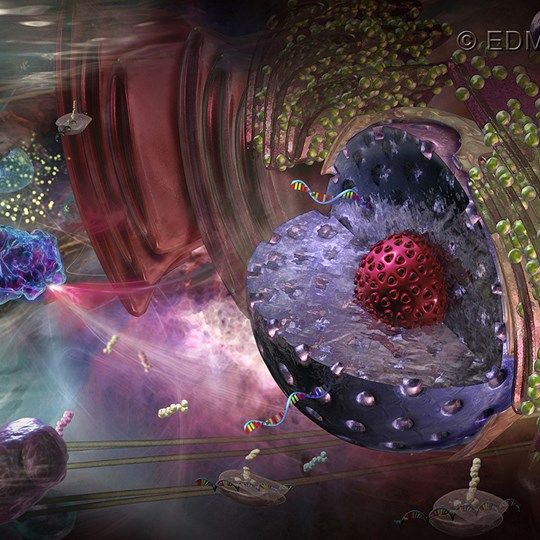 Profile picture for user cellventurelearning