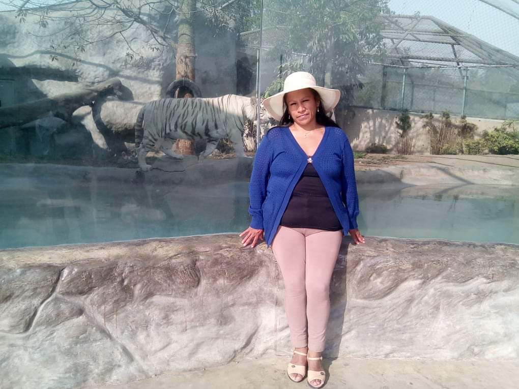 Profile picture for user elenatorreshuamani