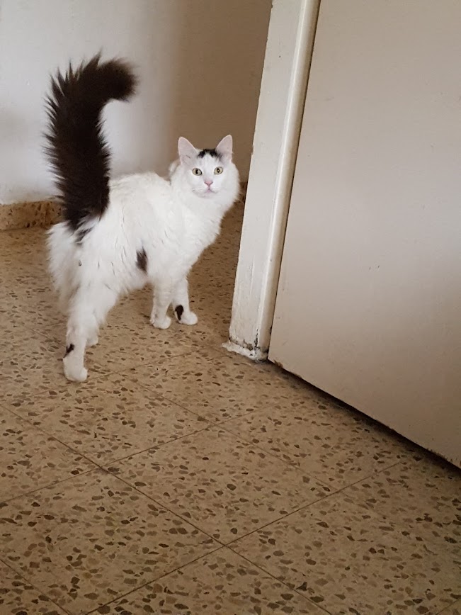 Profile picture for user 13284