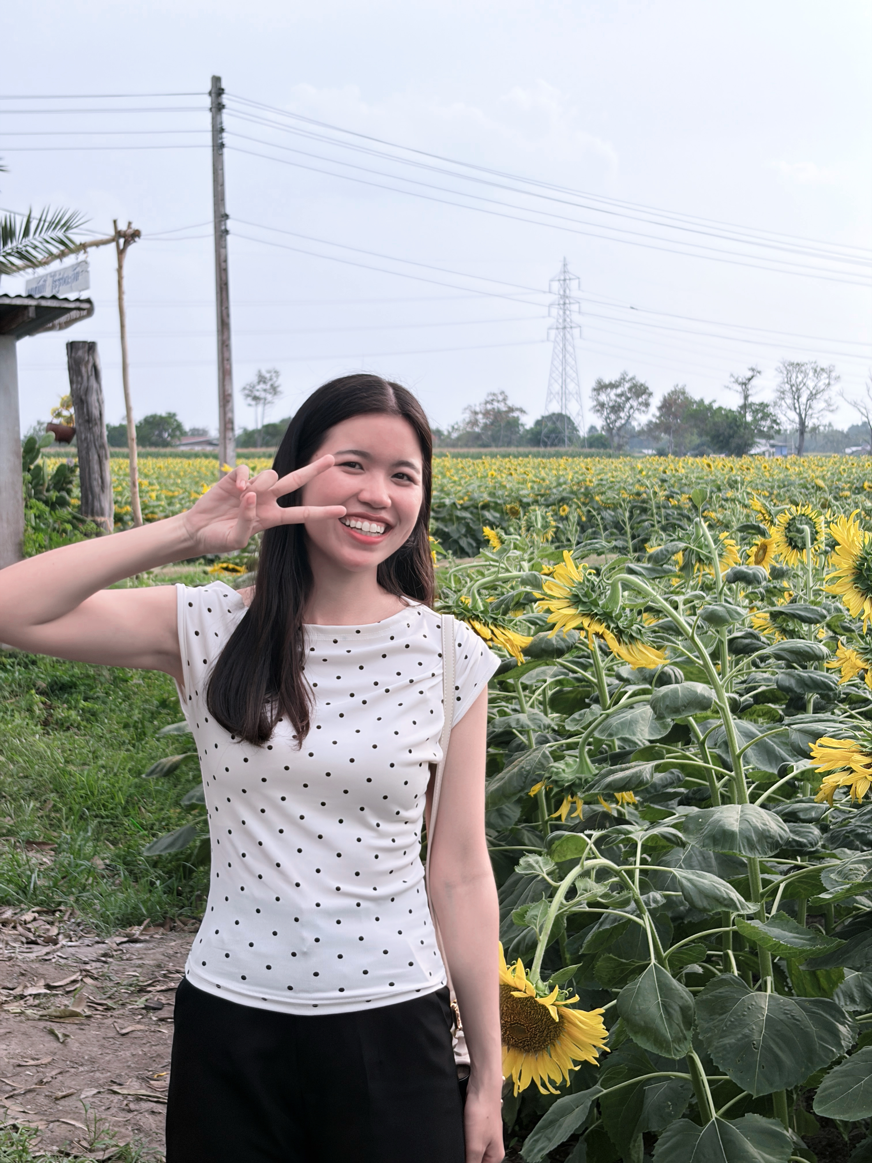 Profile picture for user 12591