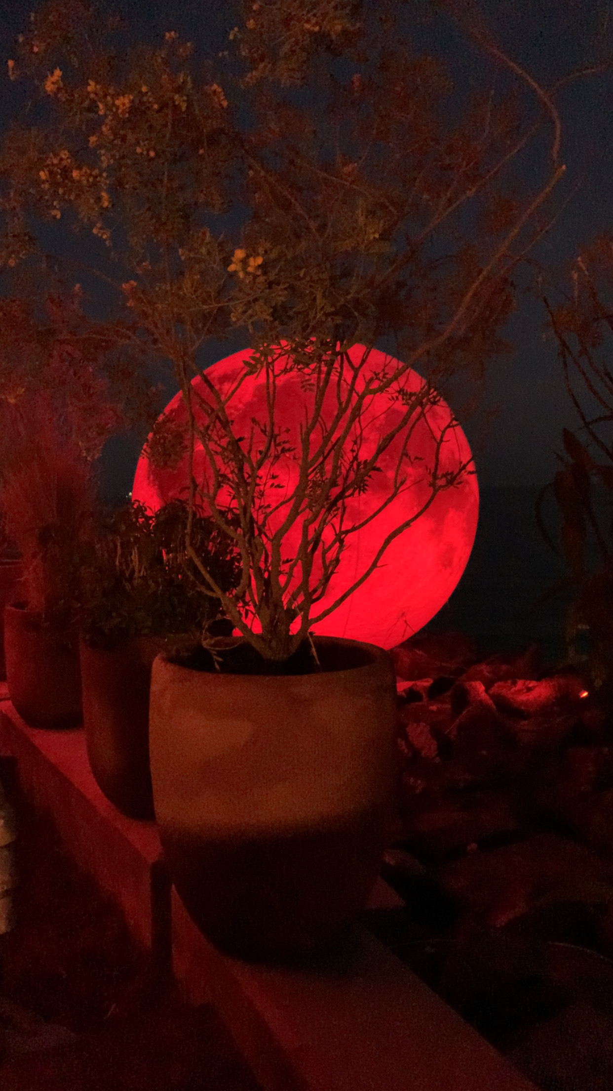 Profile picture for user s_seid