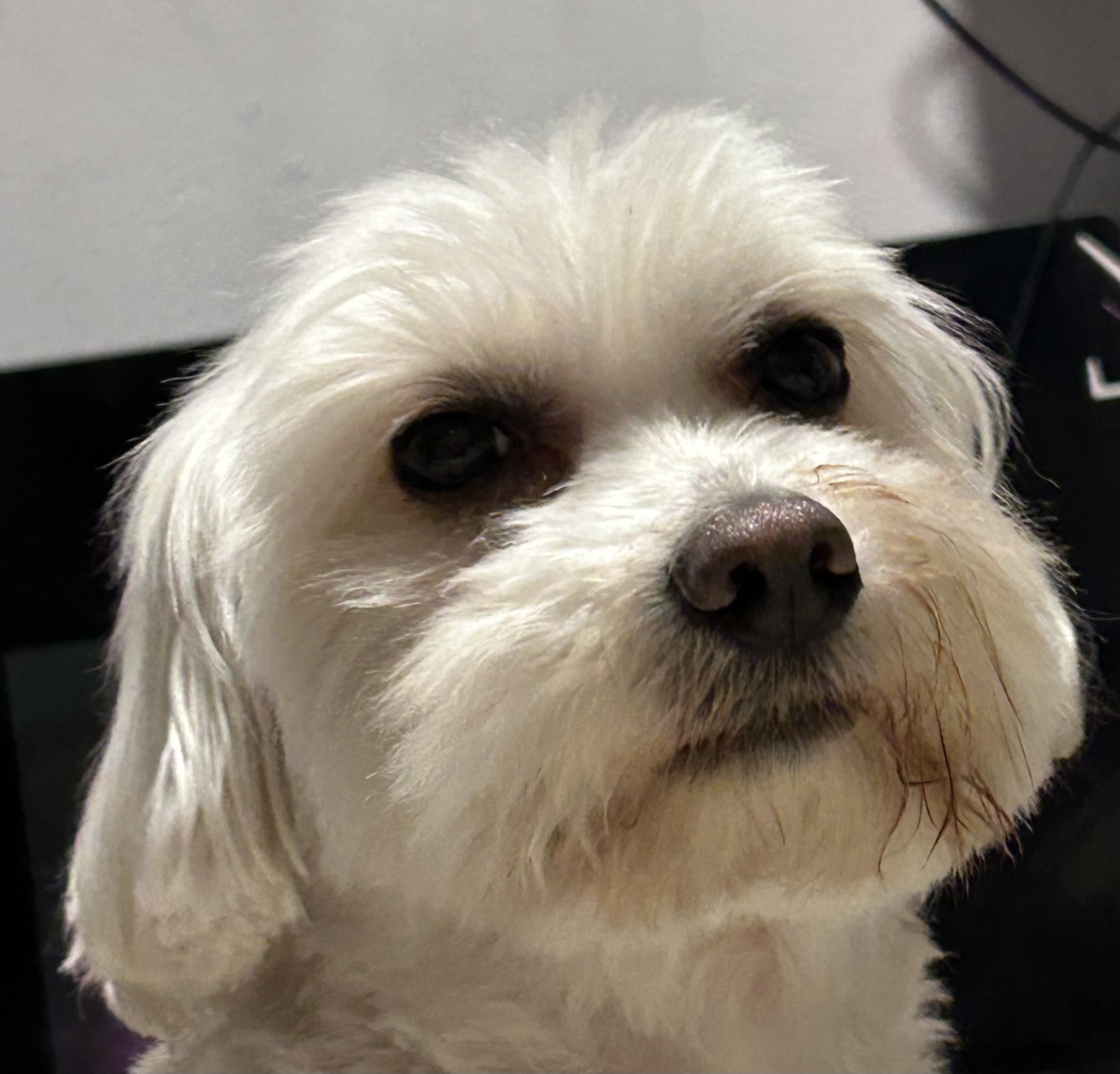 Profile picture for user MYolandaMariaDiaz