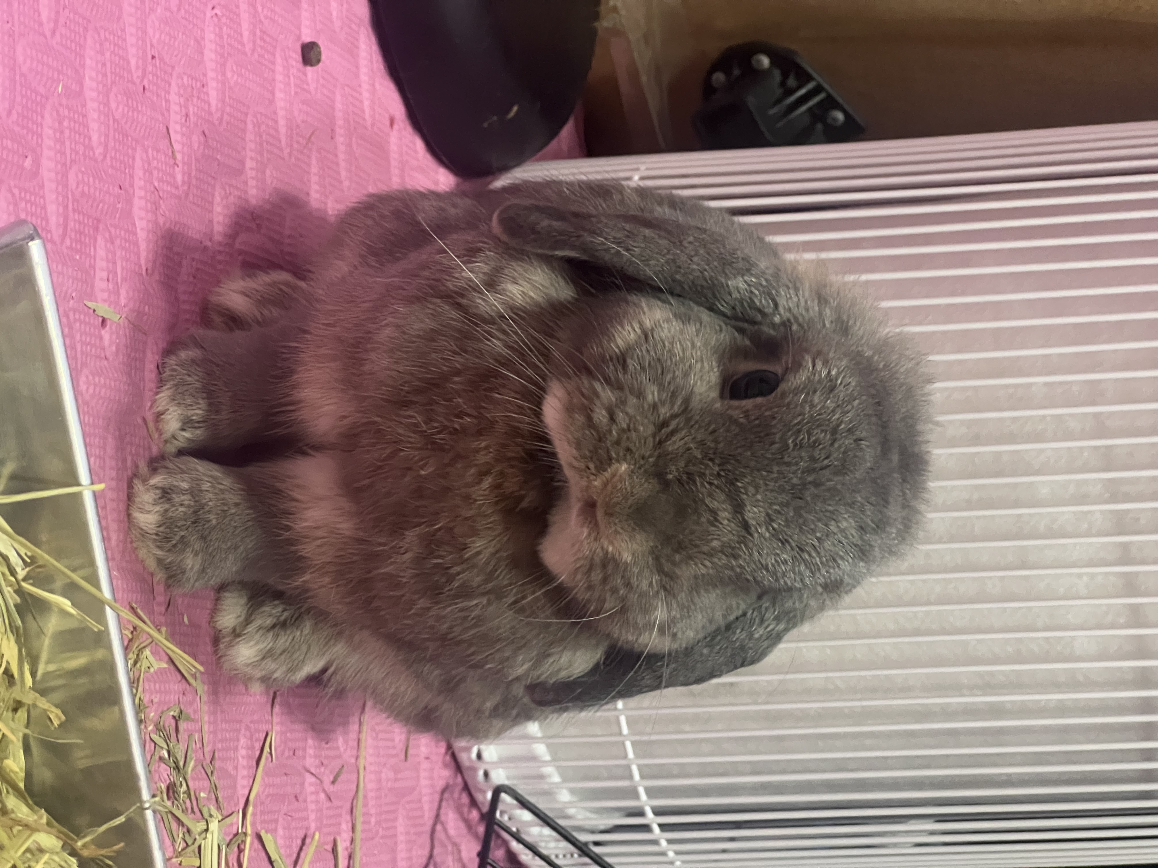 Profile picture for user titapasridusadee