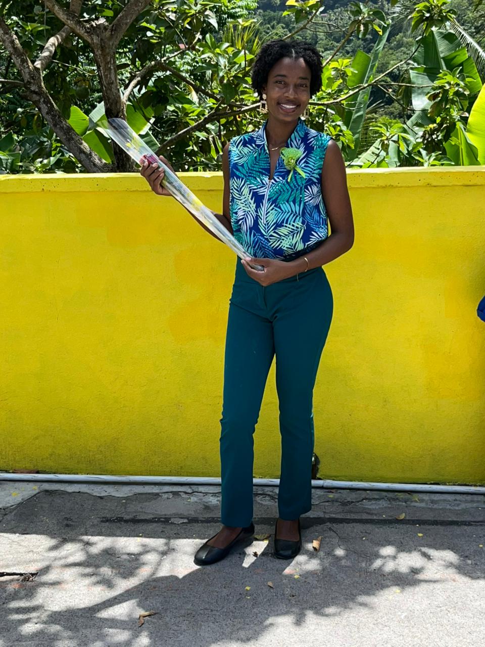 Profile picture for user chessaobeius