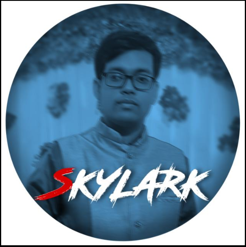Profile picture for user skylarkcoachingcentre