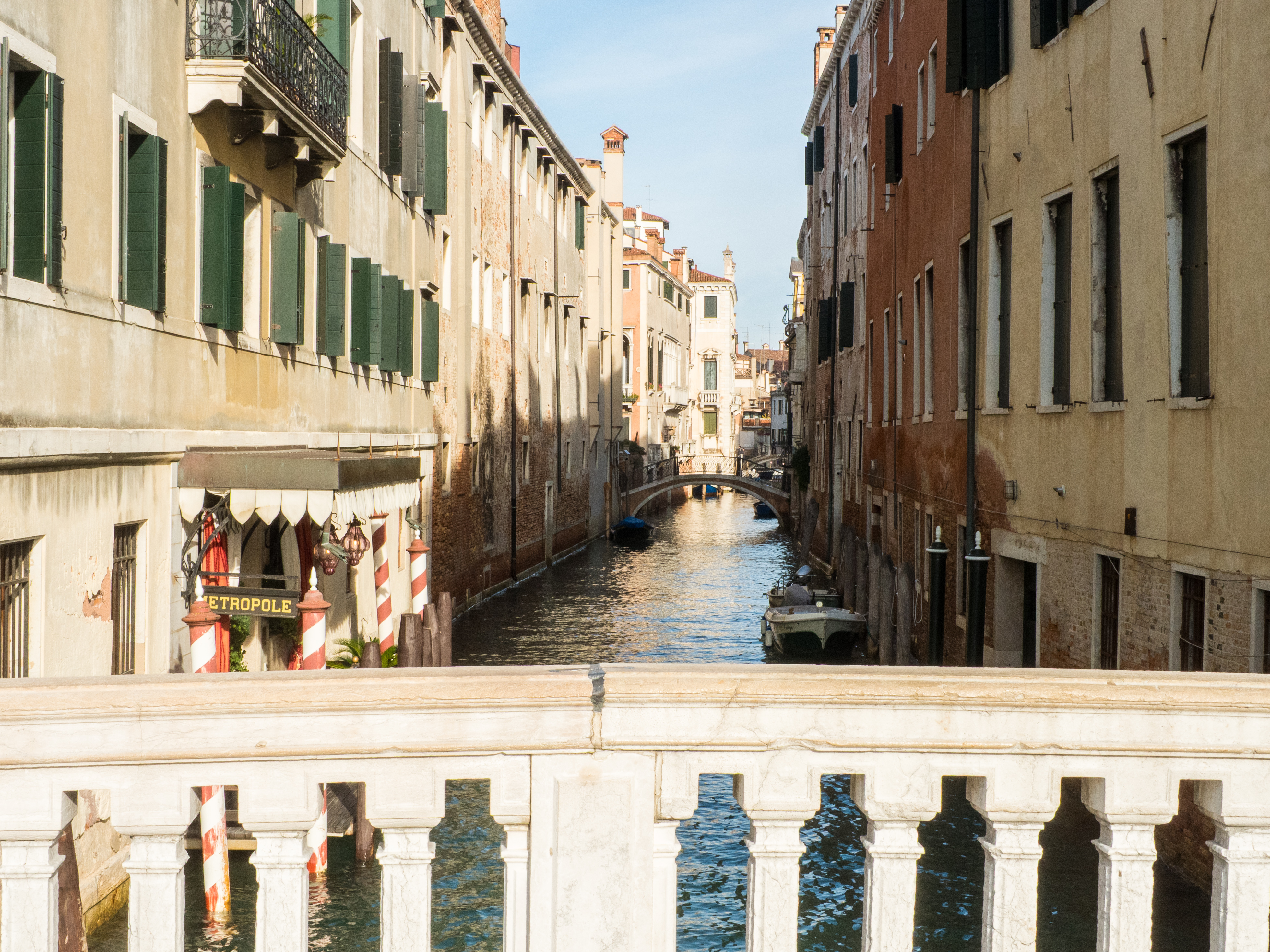 Profile picture for user Susansarandon