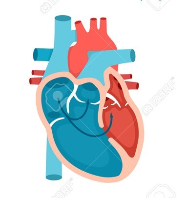 Profile picture for user Reyna_Campos11