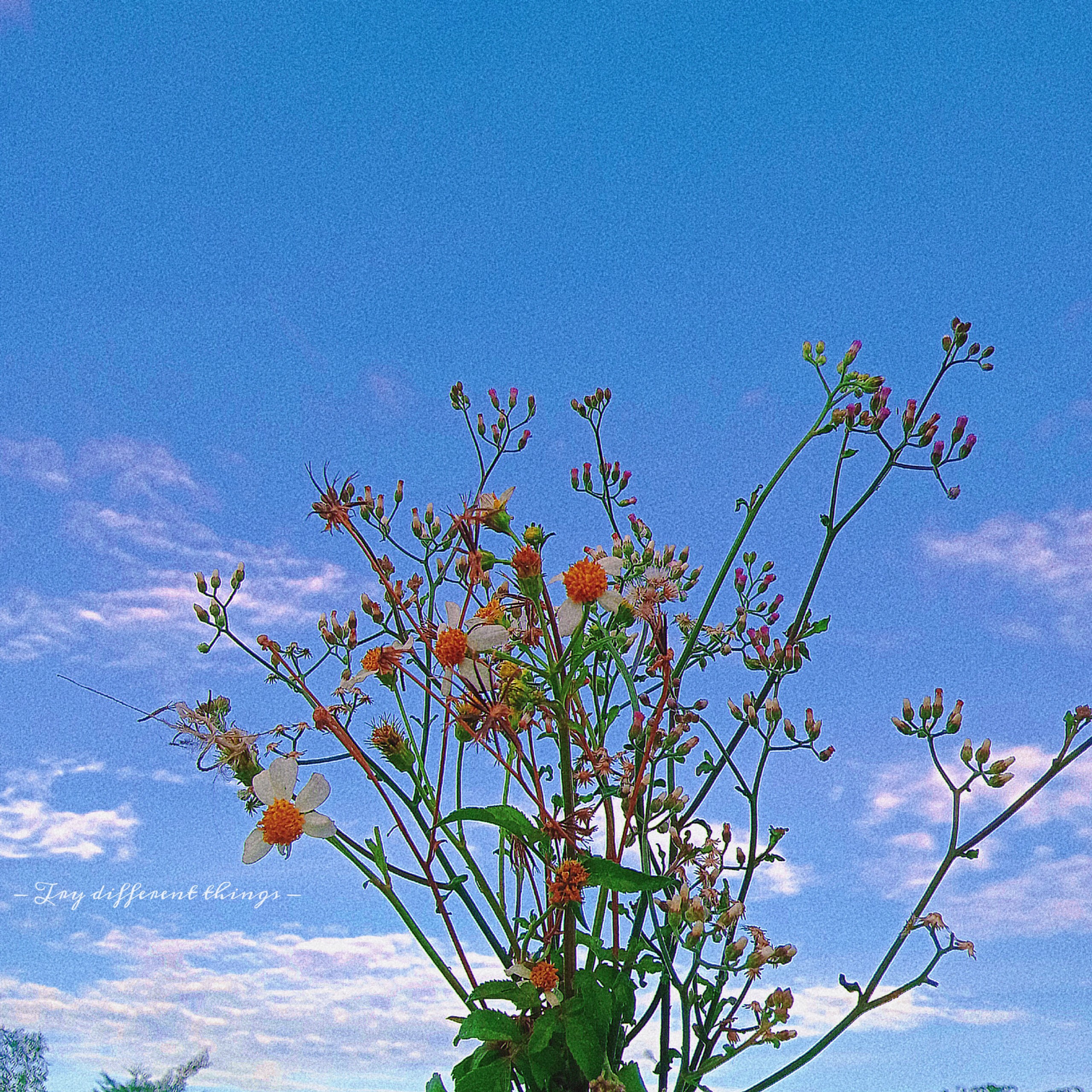 Profile picture for user linhthithngc