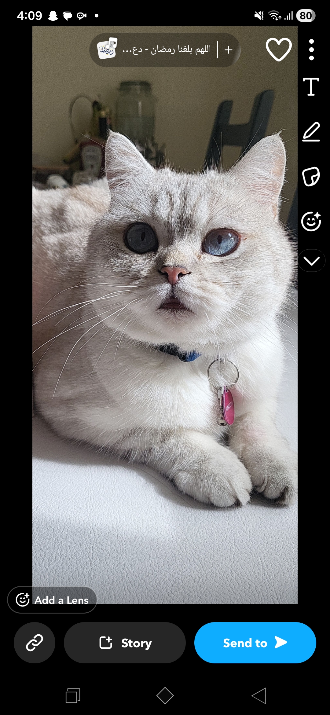 Profile picture for user maryamm2