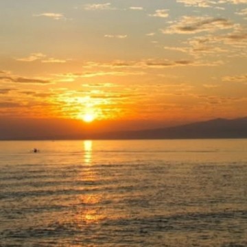 Profile picture for user Feri_Kurniawati