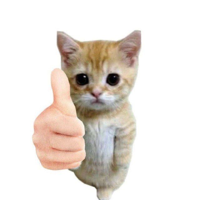 Profile picture for user sujittra_m