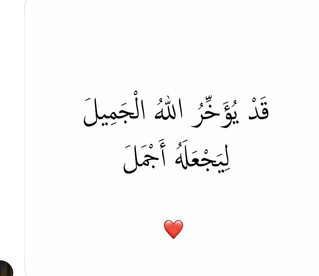 Profile picture for user shymaafm1