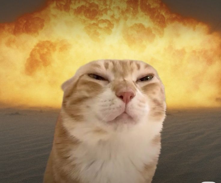 Profile picture for user qunhhng1