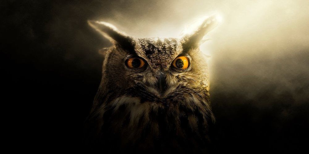 Profile picture for user katealeinik