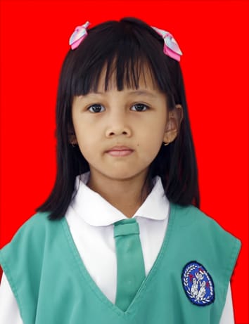 Profile picture for user serlydamayanti