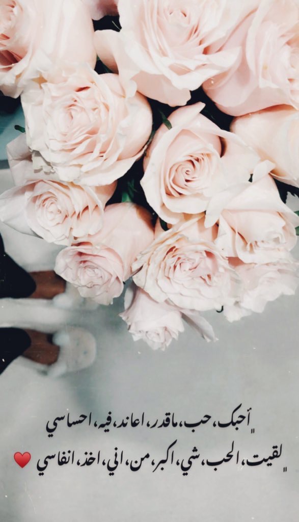 Profile picture for user sarahalmalood