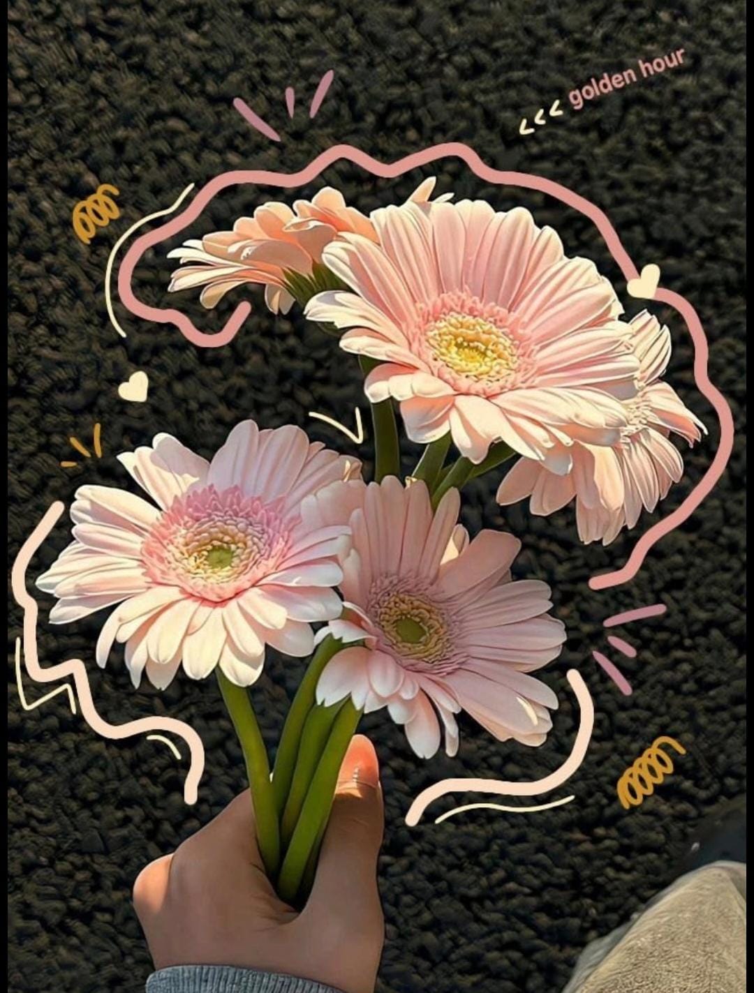 Profile picture for user rahilhumaira8