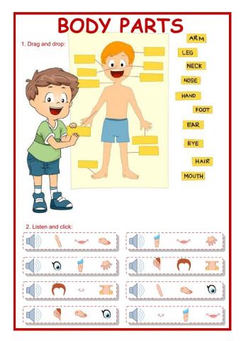 Body parts