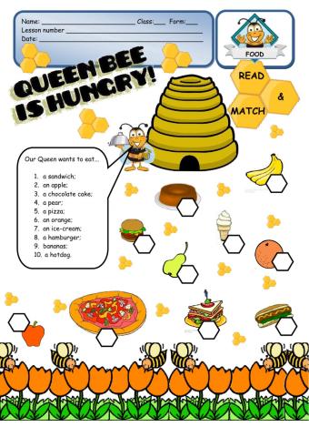 FOOD - Queen Bee is hungry!