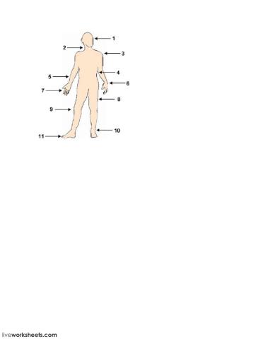 Body Parts Identification 