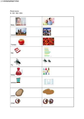 plurals with s, es, ies, ves