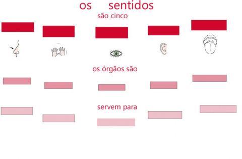 Vocabulário 07 Os sentidos