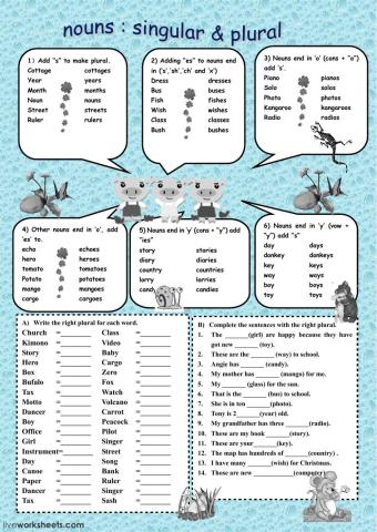 singular and plural nouns